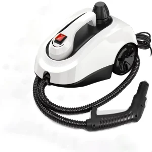 1800W Electric Handheld Steam Cleaner High Pressure High Temperature for Outdoor Kitchen Car Air Conditioner 220V/110V Power