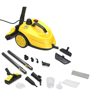 2000W High Pressure High Temperature Household Handheld Steam Cleaner 220V 110V Electric for Cleaning Air Conditioner Kitchen