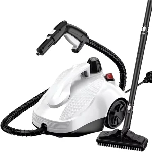 2000w 5 bar Professional Portable Steamer Hot Water Functions High Pressure Handheld Steam Cleaners for Household Kitchen Use