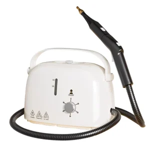 2600W Electric Fast Heating Continuous Steam Mini Portable High Temperature and High Pressure Household Kitchen Steam Cleaner