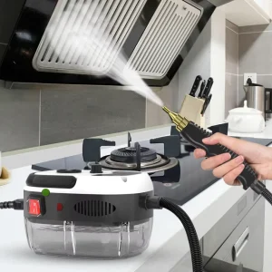 2800W High Temperature Steam Cleaner for Household High Pressure Steam Cleaner