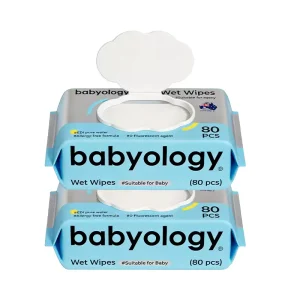 Babyology Factory’s High Quality Disposable Wet Wipes for Babies Non Woven Fabric 80pcs Packaged OEM