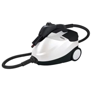 Cleaning Supplier Price High Quality Steam Cleaner for Car Wash