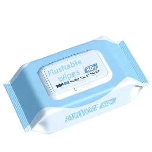 Custom Flushable & Biodegradable Non-Woven Household Wet Wipes 48 Count Adult Personal Cleansing Wipes Scented Wipes