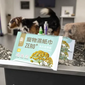 Custom Logo Disposable Rinse Free Biodegradable Pet Wipes