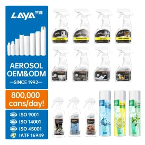 Eco Friendly Disposable Solid Aerosol Liquid Foam Cleaner Multi Purpose Home Stain Oil Remover Spray Private Label Solid Shape