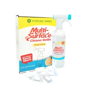 Eco Friendly Multi Surface Effervescent Cleaning Tablets for All Purpose Refill and Disposable Use