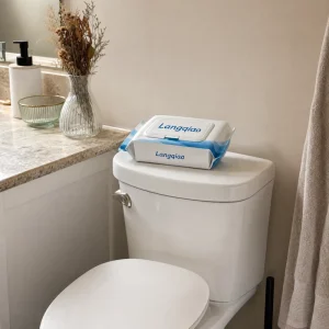 Eco Sustainable Non scented Chemical Free Moist Toilet Paper Compostable Flushable Wipes Household Green Hotel Living