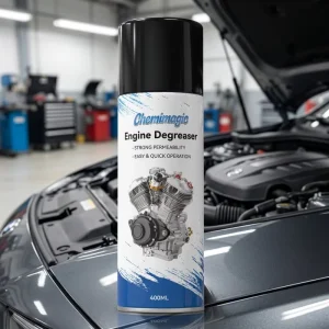 Efficient Aerosol Auto Maintenance Liquid Car Engine Cleaner Detailing OEM ODM Spray Degreaser