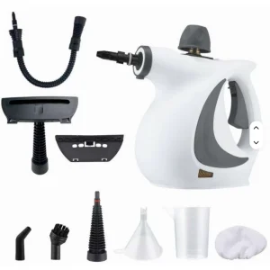 Factory 110V 220V Electric Home Steam Cleaner Handheld Natural Multi Surface Steamer with 9 Pcs Accessories Car Use