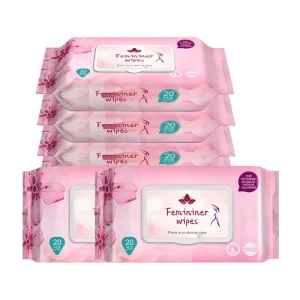 Factory Price Feminine Intimate Wipes Plant Base Feminine Wipes Cleansing Wipes 20pcs for Women Daily Cleaning