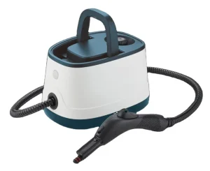 Home Handheld Professional Steam Cleaner with Pressure Gauge