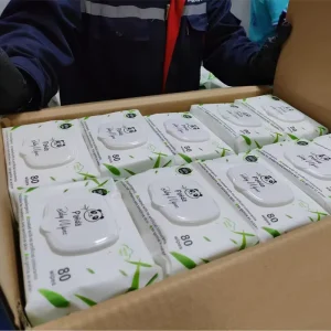OEM Factory Customized 80ct Cleaning Tissues 99% Pure Water Baby Wet Wipes Biodegradable & Alcohol Free for Sensitive Skin