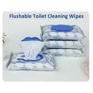 OEM Flushable Toilet Wet Wipes Nonwoven Eco Friendly Organic Hygiene Care Disposable Alcohol Free Pure Water Adult
