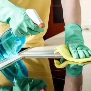OEM Glove DDsafety Household Rubber Gloves for Cleaning Guantes De Latex Spray Flock Linre Green Luvas Guantes CE 2121