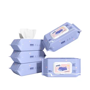 Premium Quality Flushable Moist Portable Household Closestool and Biodegradable Wet Toilet Wipes for Traveling
