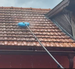 Professional Carbon Fiber Telescopic Cleaning Pole Kit Roof Gutter Cleaning Lightweight High Reach Water Fed System Brush
