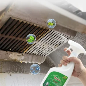Rayshine Oil Stain Cleaners Fresh Kitchen Cleaner Degreaser Kitchen Washing Foam Spray Kitchen Bathroom Cleaning 500g