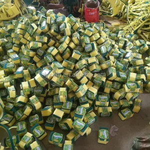 Sponge Scouring Pad