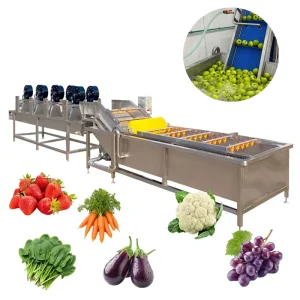 Vegetable Cleaning Equipment Vegetable Fruit Apple Washer Cleaner 500 1000kg h Ozone Bubble Vegetable Washing Machine